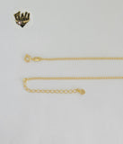(1-6305-1) Gold Laminate - Rolo Link Horseshoe Necklace - 18" - BGF